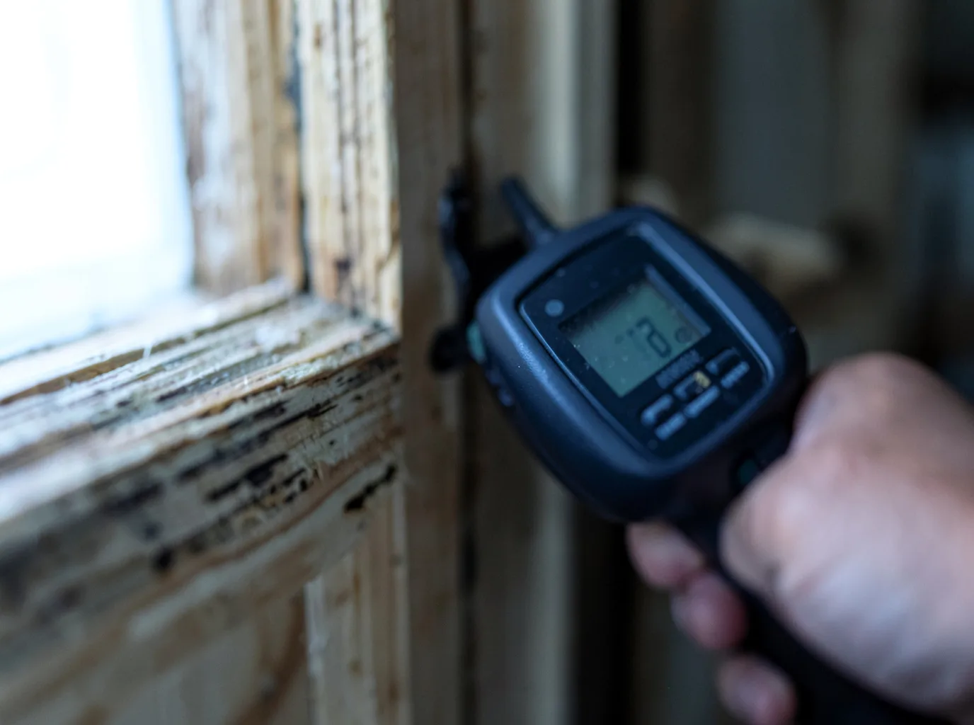 Moisture Inspection And Documentation in Mahanoy City, PA